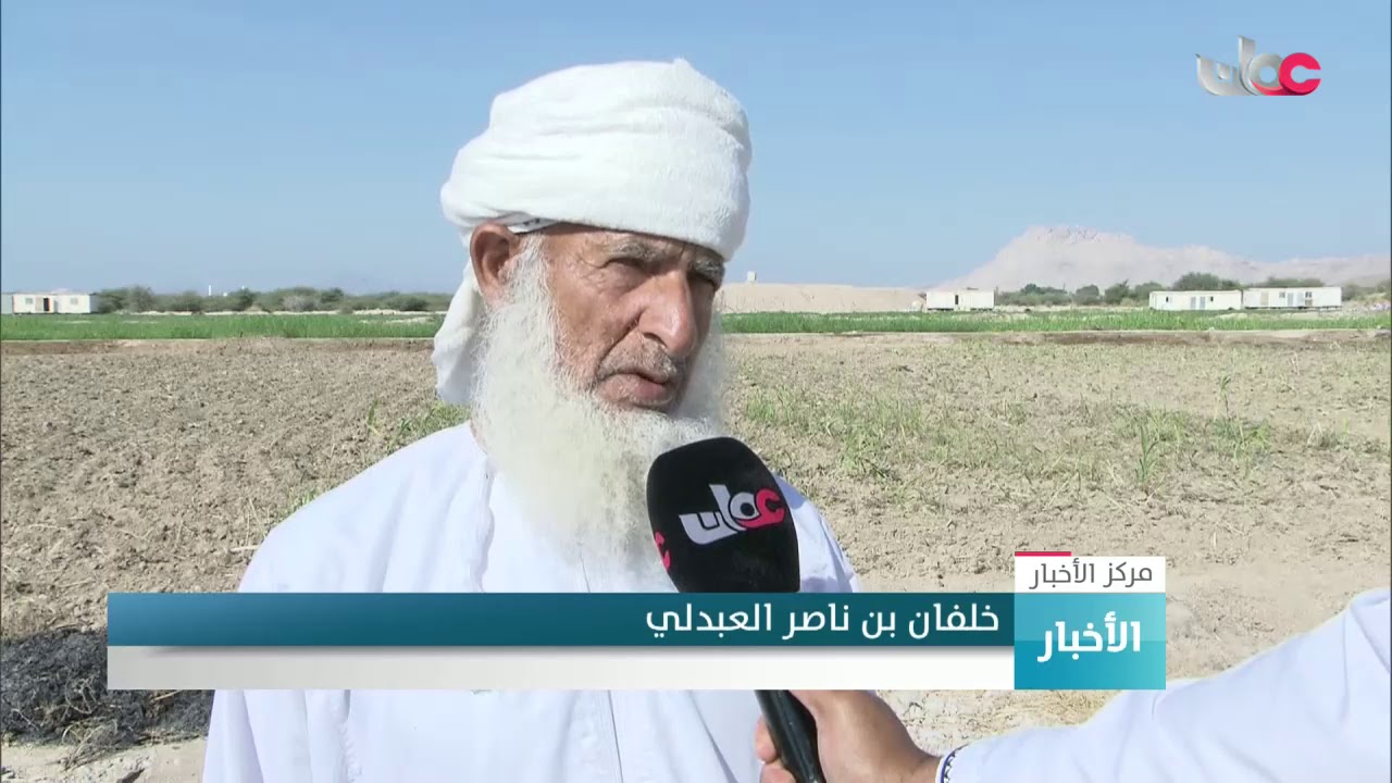 بدء موسم حصاد محصول السمسم في ولاية منح