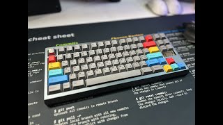 Odin75 with Baby Kangaroos