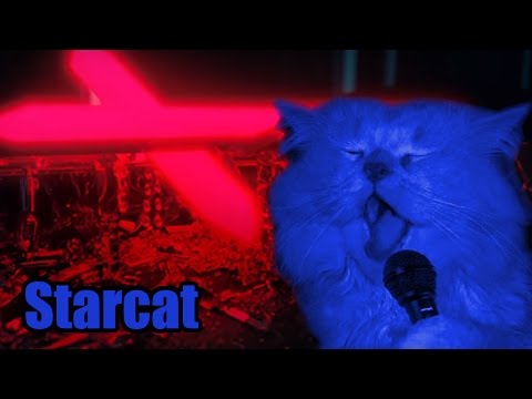 Starcat (Starboy Cover by Squeal Cat)