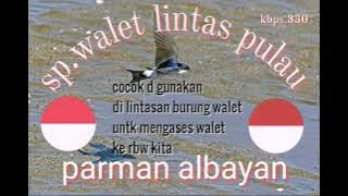 sp.walet lintas batas.sp nie cocok untuk memotong jalur akses burung walet