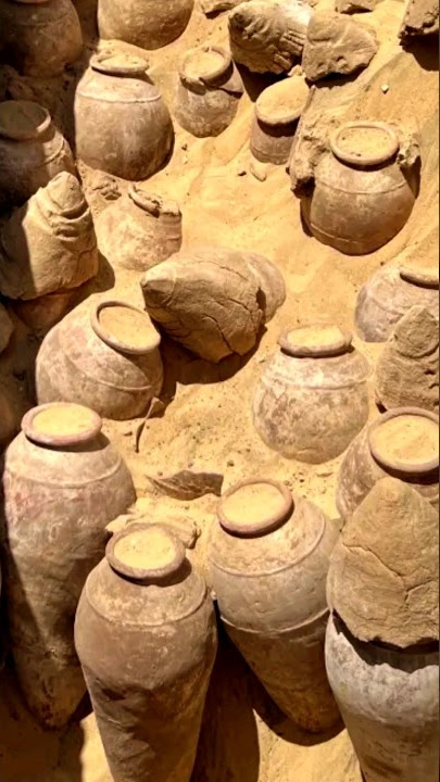 egyptianwinelegacy - YouTube