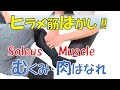 vol.109 ヒラメ筋はがし‼ むくみ・疲労・下腿部の痛み改善!
