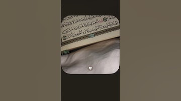 آيـة من القرآن 🤍 | سورة نوح الآيـة ٢٨