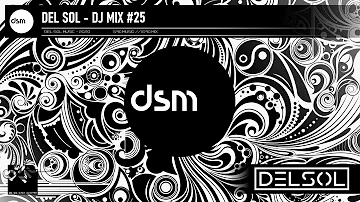 Best EDM Party Mix 2020 | DJ Mix #25 | Del Sol Music