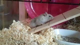 Olívia Átássa Magát A Feljáró Alatt D