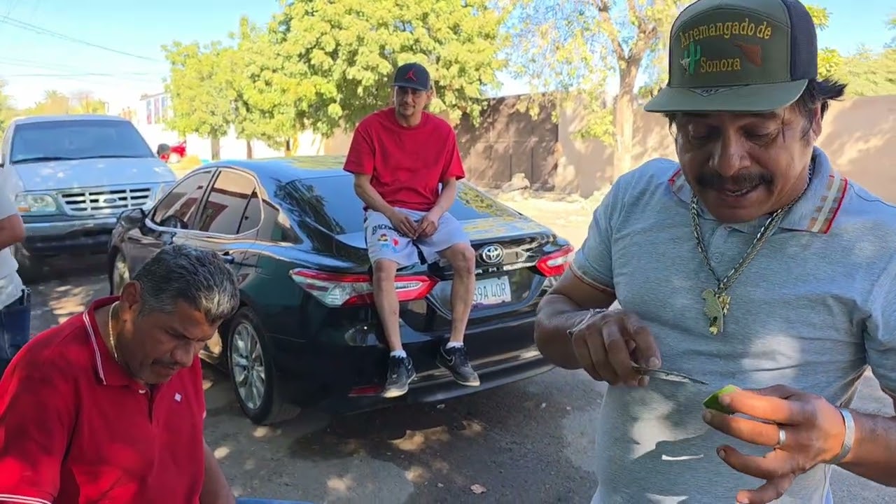 ‪@ElGatoParadoOficial‬