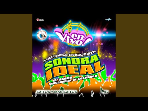 Ver Mix Sensacional Contra El Dragón: Voy a Pintar un Corazón / Contra el Dragón / Deja una Rosa... no YouTube