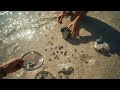 We Found Hidden Treasure During a Beach Cleanup – INSANE!