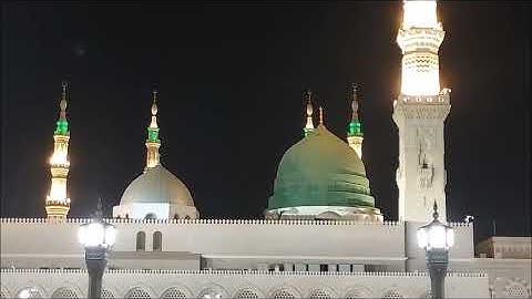 إن الله وملائكته يصلون على النبي ❤ بصوت القارئ محمد بن صالح 🤲