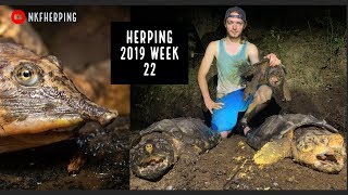 INSANE Night of Turtle Hunting: 4 Alligator Snapping Turtles!