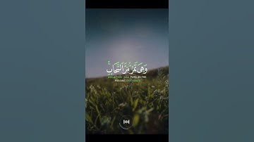 سورة النمل بصوت القارئ علي جابر listen to Surat An-Naml read by Ail Jaber