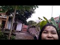 công dung cây đu đủ
