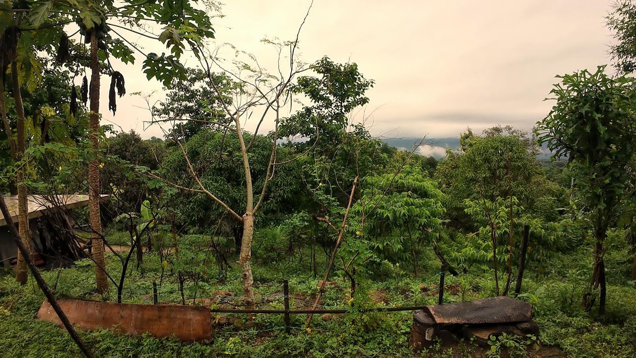 🏡 Farm Life in the Province | Discover the Joy of Simple Living at Turod Farm 🌿