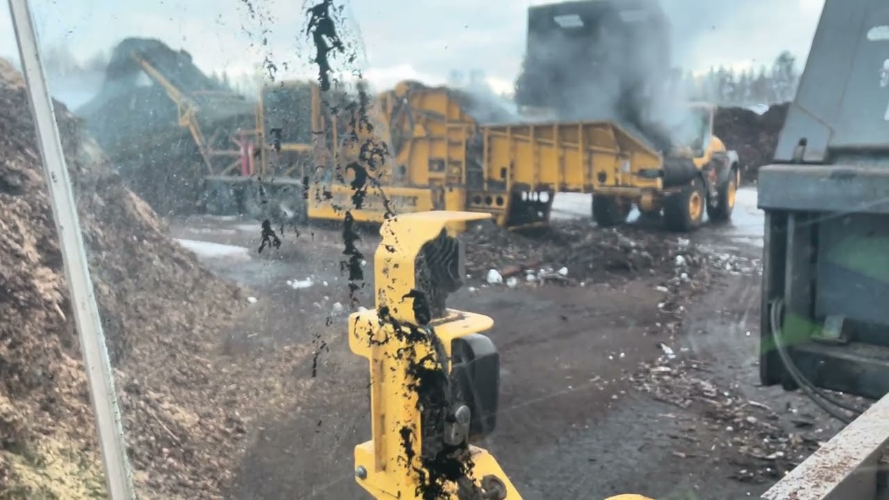 Cbi magnum force 8400