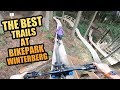 THE 3 BEST MTB TRAILS AT BIKEPARK WINTERBERG