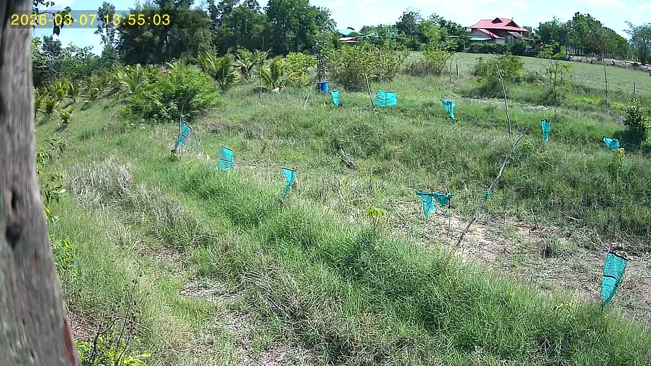 UBox 2026 03 07 135430 3 137