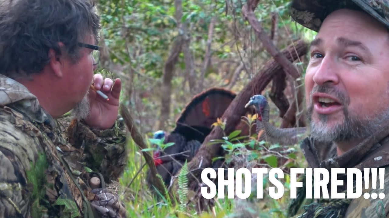 South Carolina Turkey Hunting 2023 April Fools Gobbler On Public south-carolina-turkey-hunting-2023-april-fools-gobbler-on-public