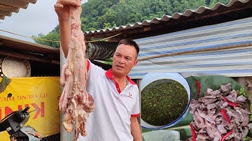 Cắt cơn trễ Tr.âu/Anh 1985 Vlogs