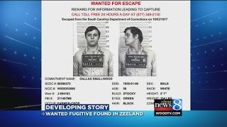 Wanted S.C. fugitive found in Zeeland