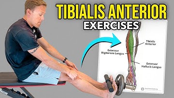 4 Tibialis Anterior Exercises