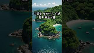 대마도  자전거여행