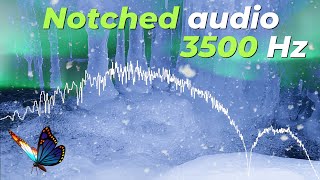Tinnitus Sound Therapy 3500 Hz Notched Ice Brown Noise 🎶 | Codename Aurora