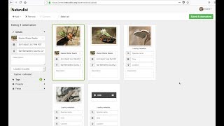 How to Use iNaturalist's Photo and Sound Uploader screenshot 5