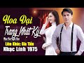 VIDEO MV Hoa Dại Trang Nhật Ký Liên Khúc Bolero Lính Xưa Phối Mới Ngọt Ngào Say Đắm Nhiều Thế Hệ