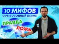 ТОП 10 мифов и заблуждений о ВЫРАЩИВАНИИ РЫБЫ в УЗВ