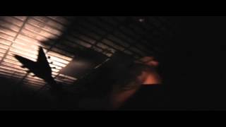 Watch Wolf I Will Kill Again video