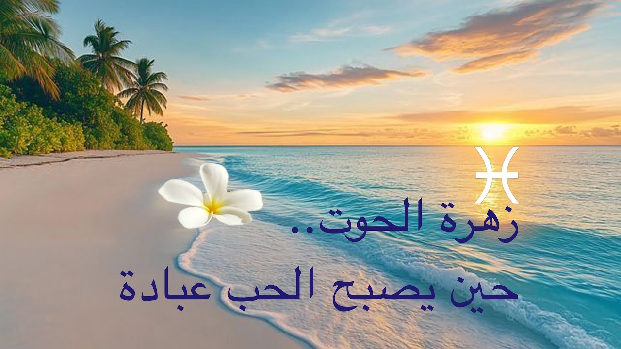 الحب في الله والزهرة في الحوت