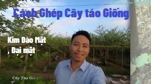 Mùa Ghép Cây Táo Giống I Núi Đồi Lục Ngạn