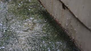 RAIN ON A OLD RUSTY GATE