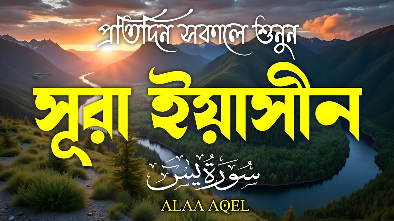(প্রতিদিন সকালে শুনুন) সূরা ইয়াসীন (سورة يس) | Surah Yaseen/Yasin | Morning Tilawat