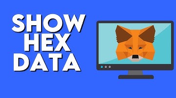 How To Turn On / Off Show Hex Data on Metamask