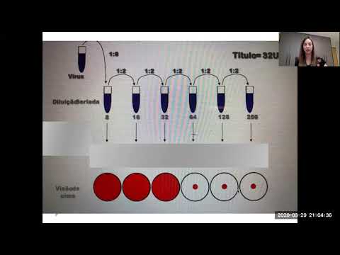 Vídeo: Teste De Título De Anticorpo: Objetivo, Procedimento E Preparação