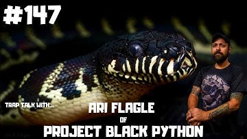 #147 ARI FLAGLE OF PROJECT BLACK PYTHON & REPTILANDIA ZOO | SIMALIA BOELENI | TRAP TALK PODCAST