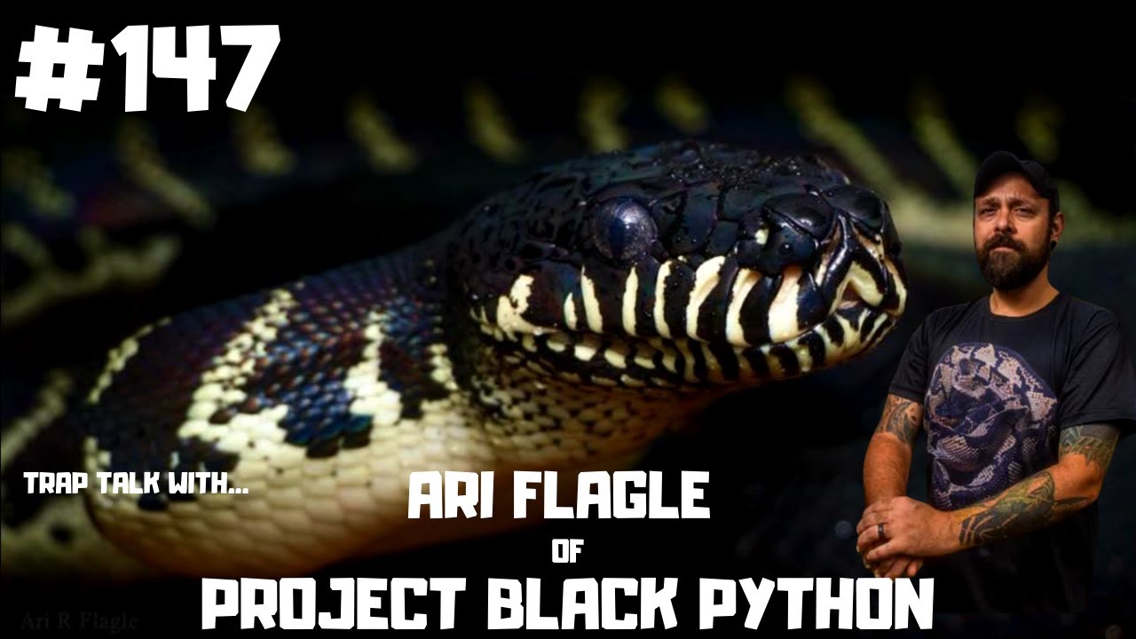 #147 ARI FLAGLE OF PROJECT BLACK PYTHON & REPTILANDIA ZOO | SIMALIA ...