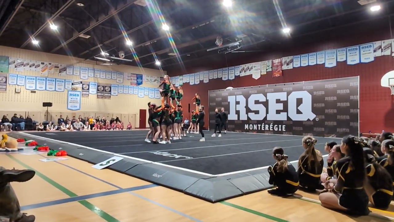 Polypus amicale 2 2026