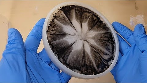 Testing depth Resin flower coaster test | Resin flower coasters made easy | Unintentional ASMR