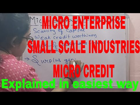 Micro Entreprises|What is Micro Enterprise|What is Micro Credit|What is Small Scale Industries