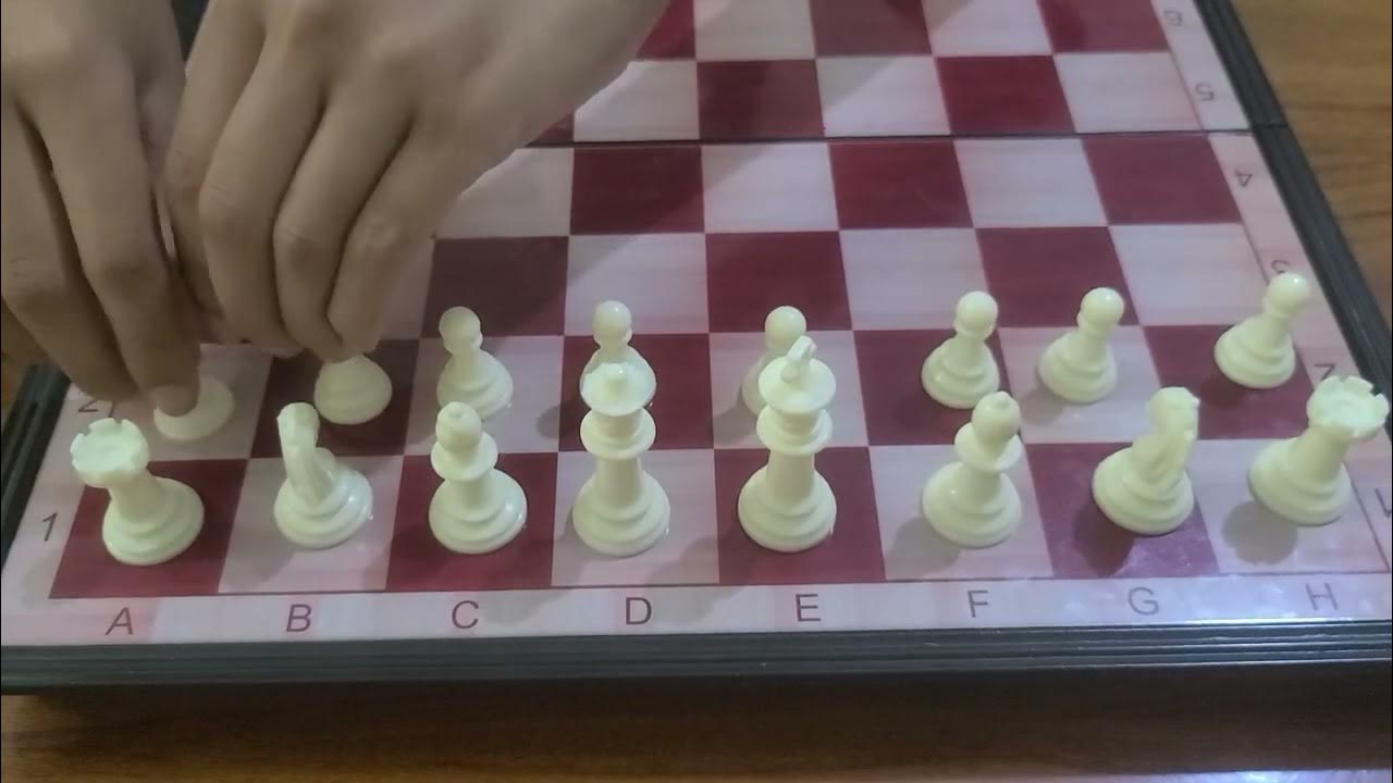 Comment placer les pions aux échecs YouTube