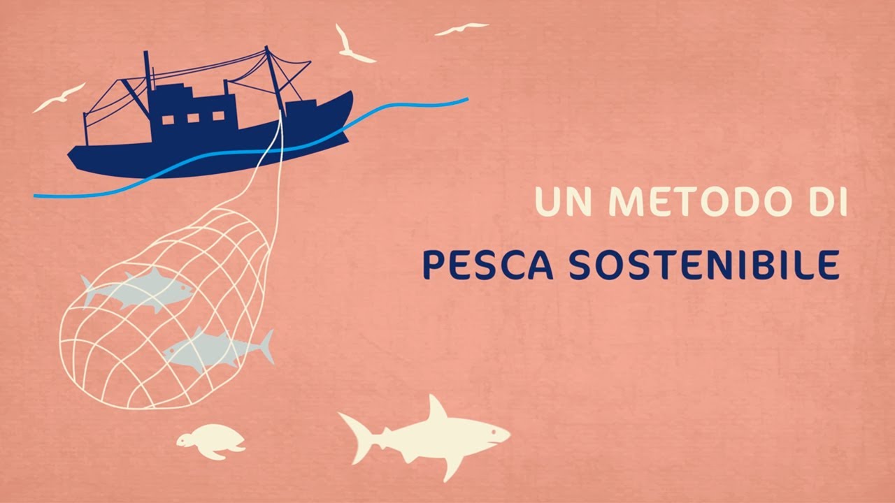 Tonno Rio Mare Pescato sui Banchi Liberi: buono e sostenibile