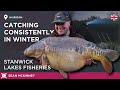 CATCH CARP IN THE COLD! Carp Fishing Winter LIVE Session!