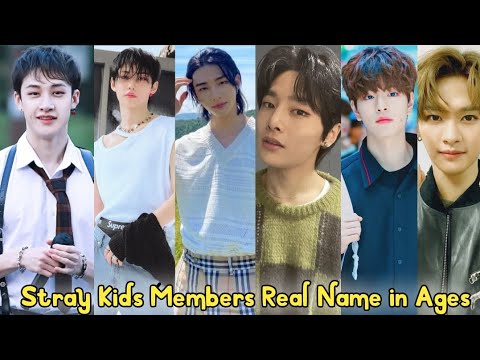 Stray Kids Members Real Name And Ages 2023