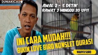 CARA MUDAH!!! Menambah Durasi Love Bird KONSLET Versi WAHYU SURO