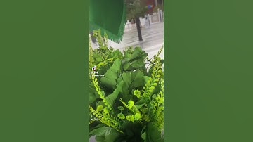 ٢٣ ديسمبر ٢٠٢٢تلاوة خاشعة فضيلة الشيخ محمد السبيل رحمه الله تعالى