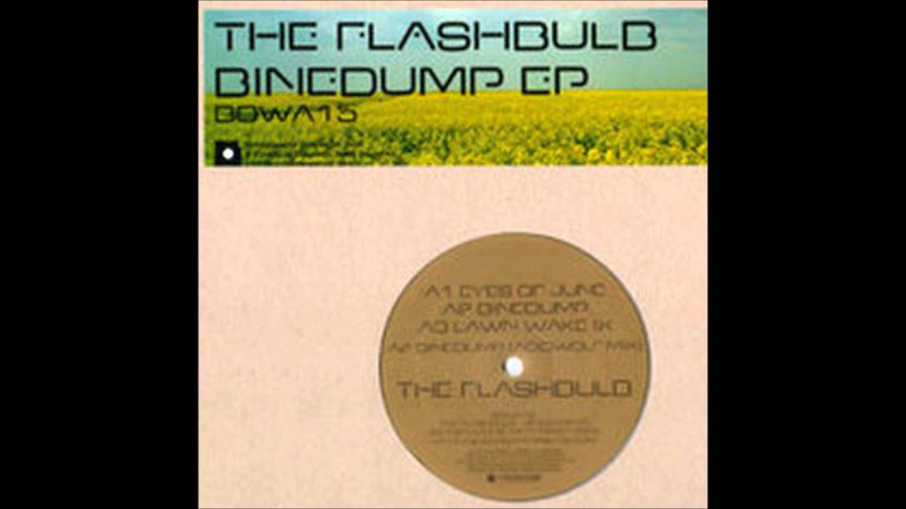 The Flashbulb - Binedump