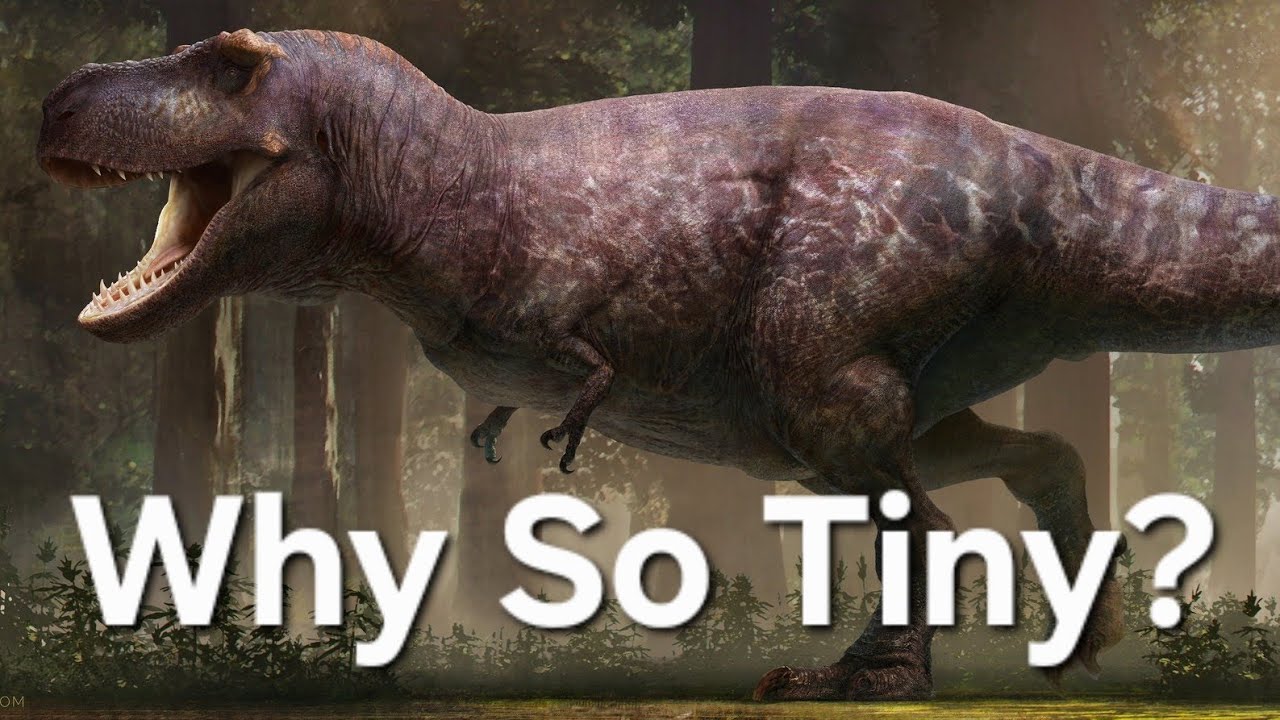 Why The T-Rex Had Tiny Arms