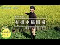 『雑草を抑える・美味しいお米が育つ』有機栽培の田んぼです!! 三木研究員 溺愛☆ 【オンラインツアー at 自農センター】